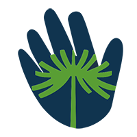 Planes Alumnos Colegio Epullay